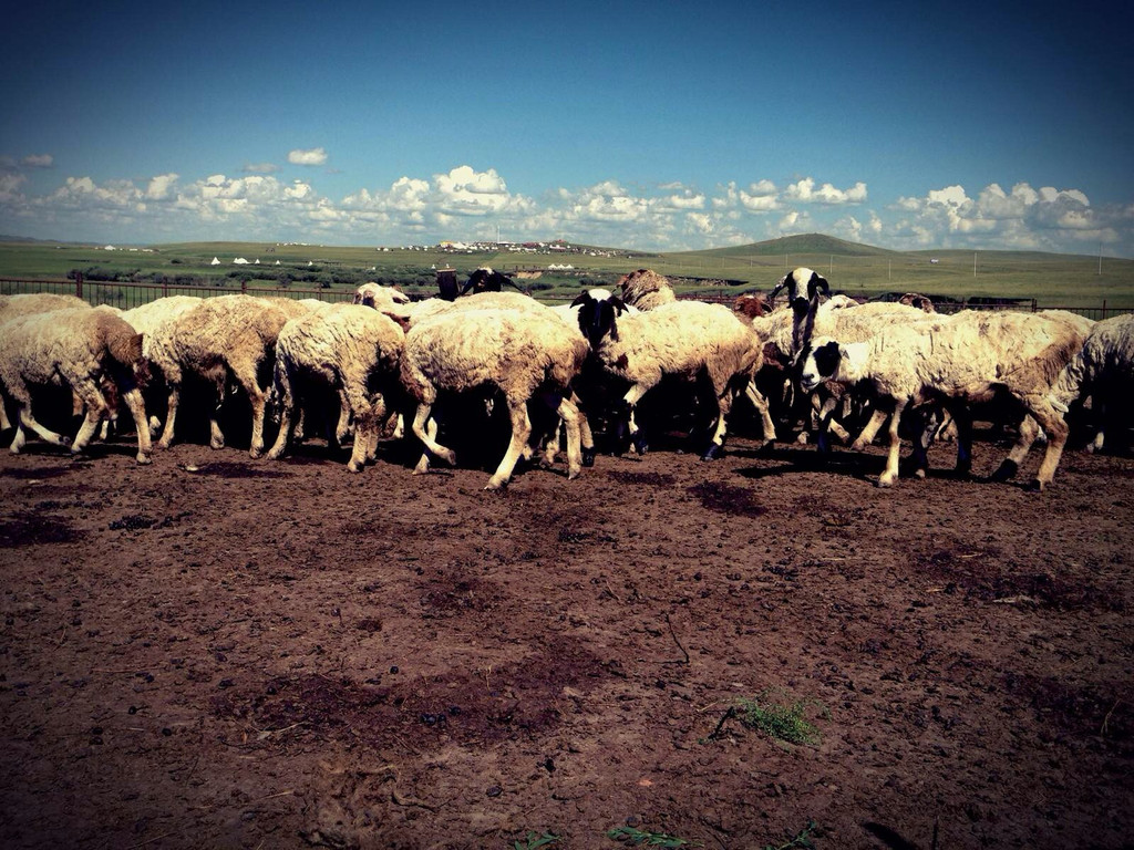 内蒙古 inner mongolia