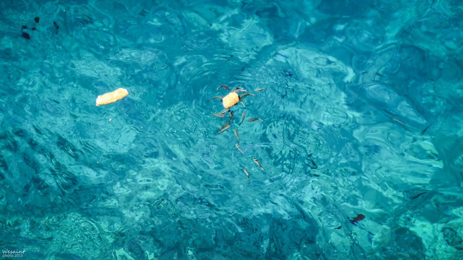 海水蓝的很.