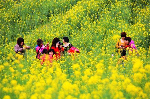 阳春三月 河南郑州康辉旅行社在心底呼喊你去