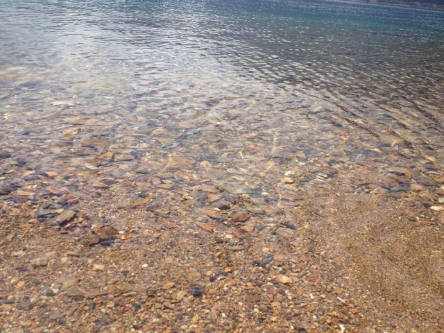 岸边的湖水清澈见底 泸沽湖