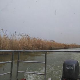 泗洪洪泽湖湿地公园_泗洪湿地公园门票收入(3)