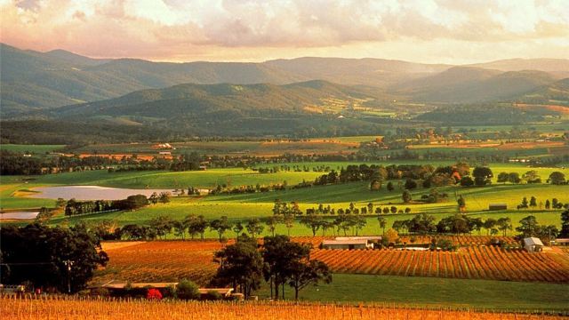 【携程攻略】墨尔本【中文用车】【亚拉河谷一