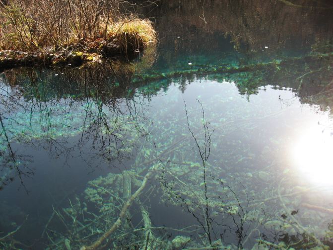 跟着四川人游成都九寨沟 五日双飞吃喝玩乐自