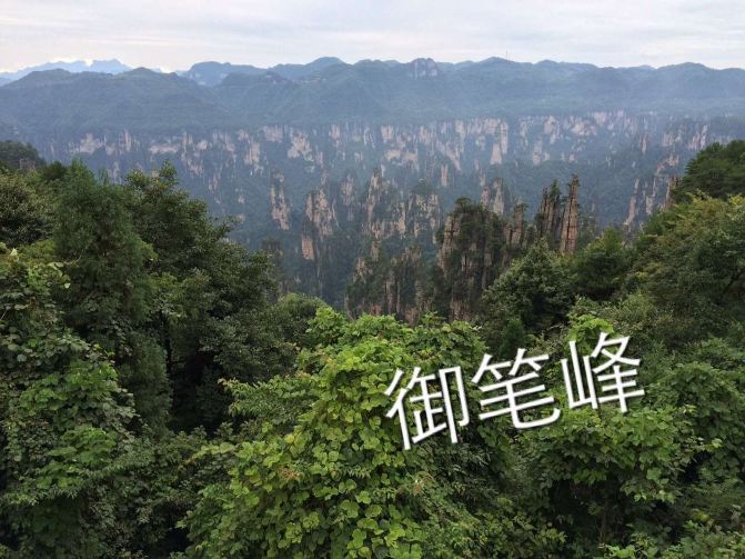 摄于:张家界国家森林公园时间:2015.8.25 张家界国家森林公园旅游景区图国家计委批准成立的中国第一个国家森林公园,1992年12月因奇特的石英砂岩大峰林被联合国列入《世界自然遗产名录》,2004年2月被列入世界地质公园。公园自然风光以峰称奇、以谷显幽、以林见秀。其间有奇峰3000多座,这些石峰如人如兽、如器如物,形象逼真,气势壮观。峰间峡谷,溪流潺潺,浓荫蔽日。有"三千奇峰,八百秀水"之美称。公园不仅自然风光壮美绝伦,而且森林植物和野生动物资源极为丰富,森林覆盖率达98%,是一座巨大的生物宝库和