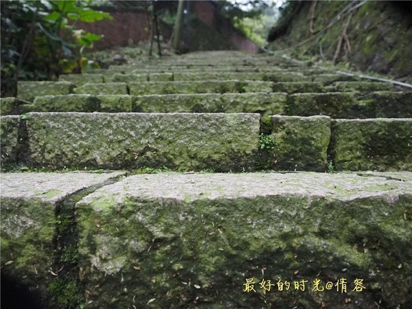 长着青苔的石板阶梯,静静地通向深处.