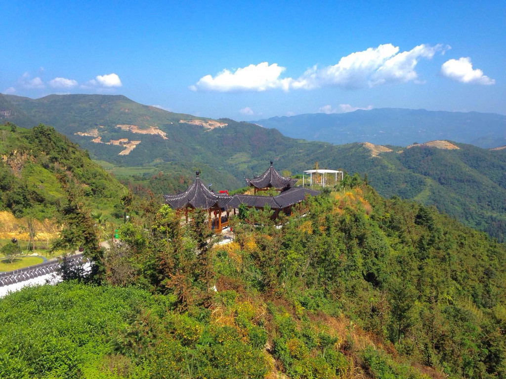 中国最美茶园--五凤香茗园游记