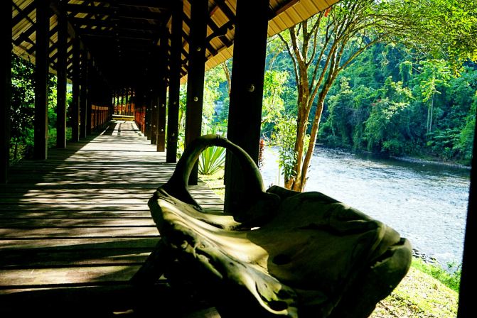 #随手拍#文莱Ulu Temburong国家森林公园 - 辽