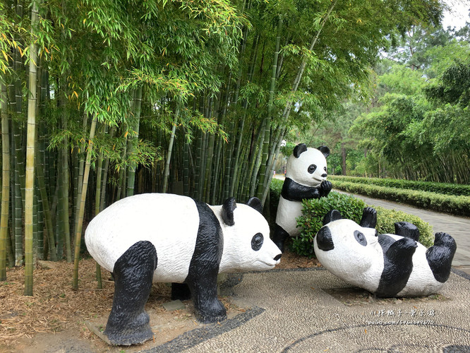                      安吉竹博园