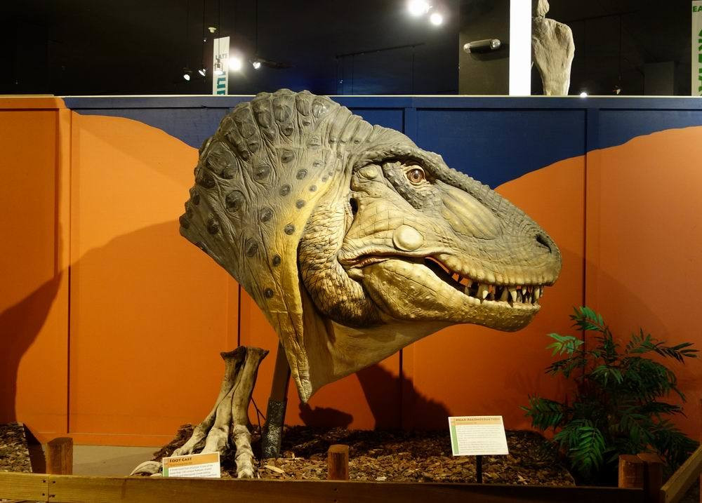 云游四海(610)美西行(27)恐龙之旅博物馆