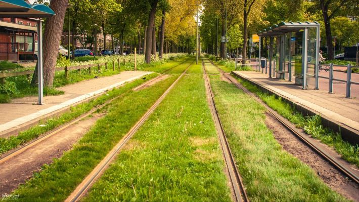 荷兰比利时七日自由行攻略 游玩科隆乌特勒支