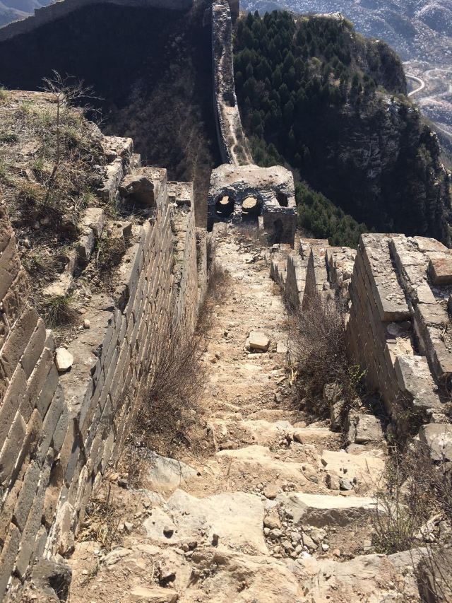 明知山有虎,偏向虎山行