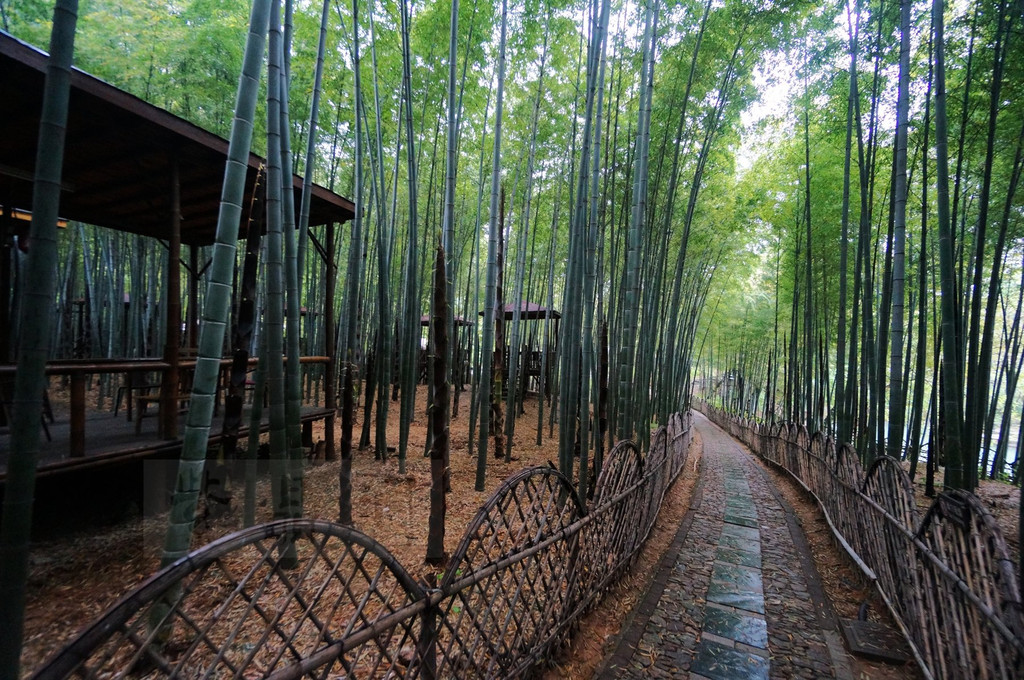竹林里遍布竹棚,在这里喝喝茶听听风,真是一种享受.
