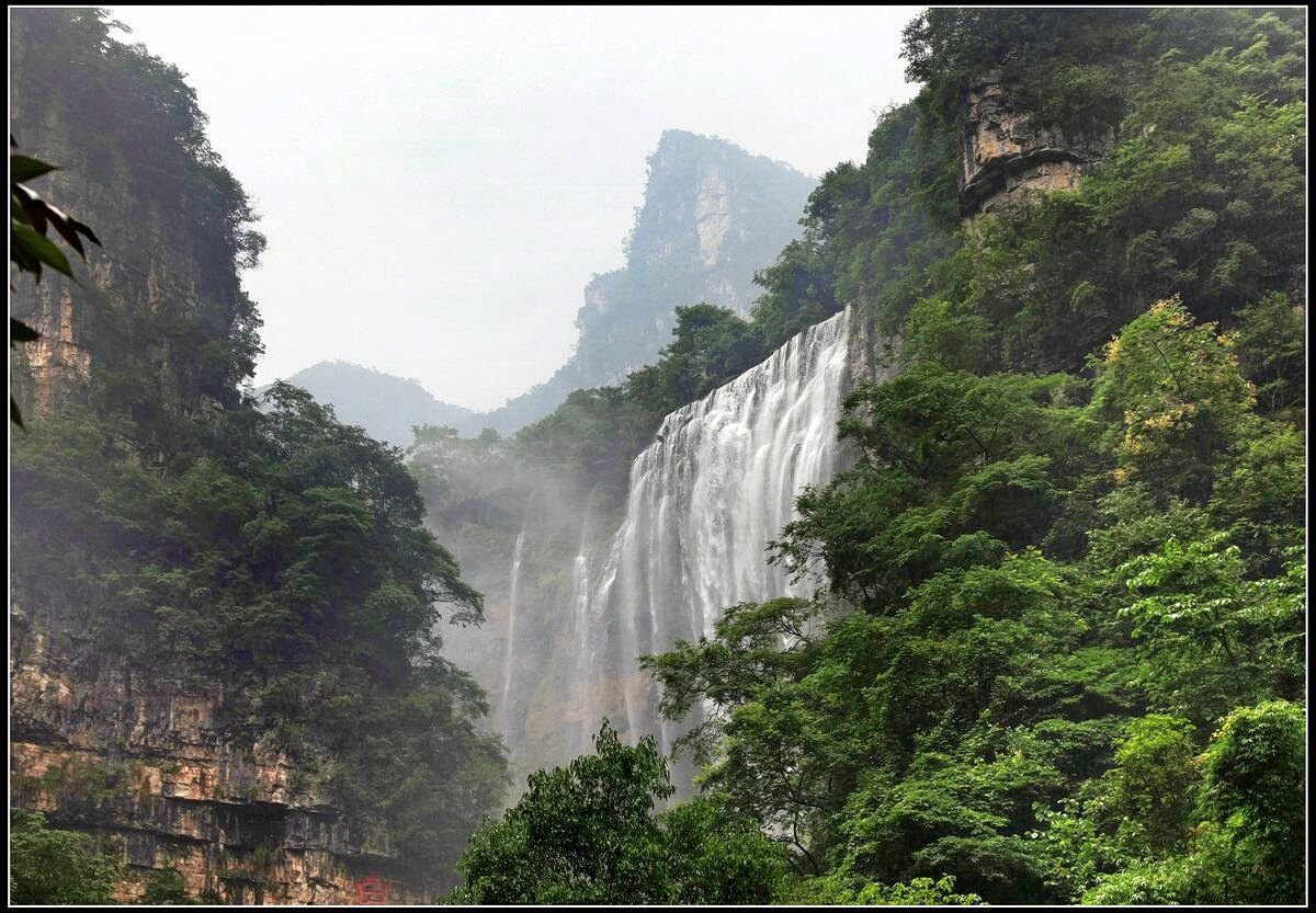 灵秀湖北专升本成绩(湖北专升本报名人数查询)