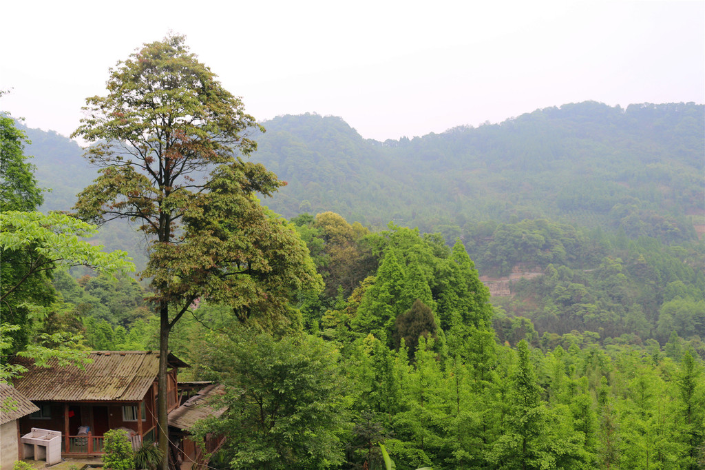 都江堰赵公山