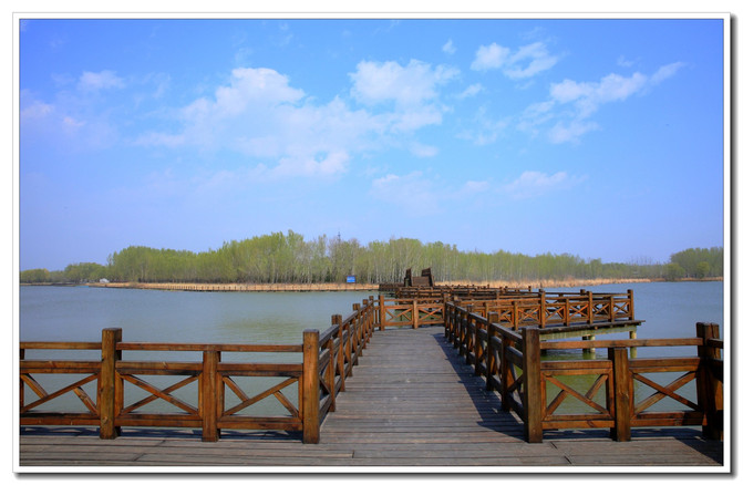 北京雾霾世界里的一方净土--延庆野鸭湖