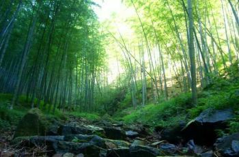 【携程攻略】宜兴太华山省级森林公园交通路线