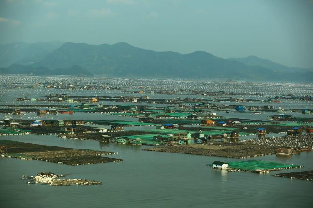 霞浦东安岛