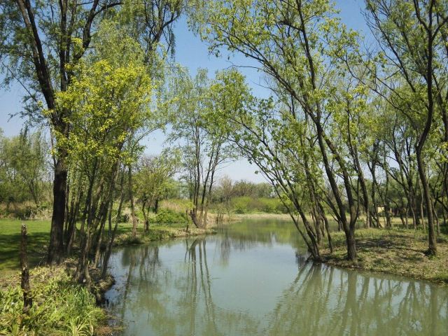 烟水山庄  西溪国家湿地