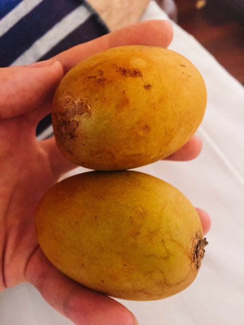柬埔寨的水果也就是那些常见的热带水果,这个之前没见过,后来发微博问