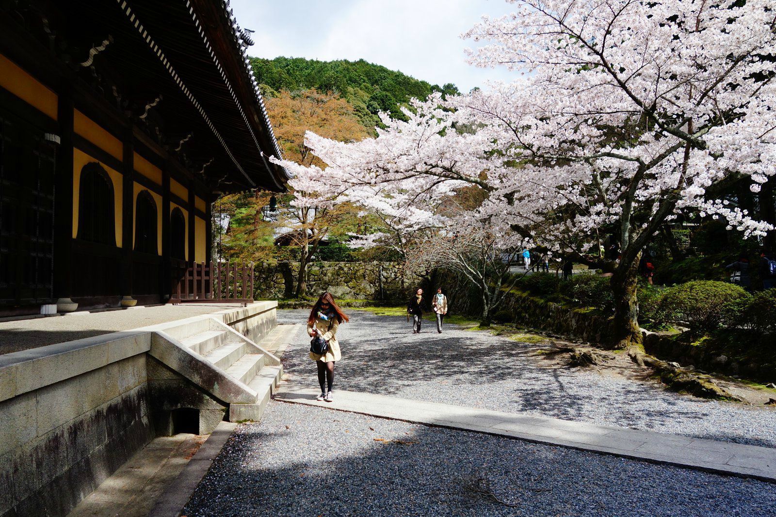 霓虹掠影十一日(烟花祗园与寂寞寺院)(2)