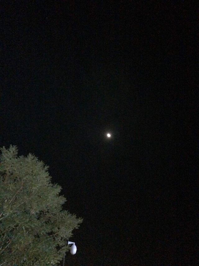 鸣沙山月牙泉