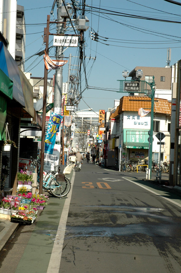 小金井的街道,这里和新宿不同,这里安静祥和温情脉脉的气息无处不在