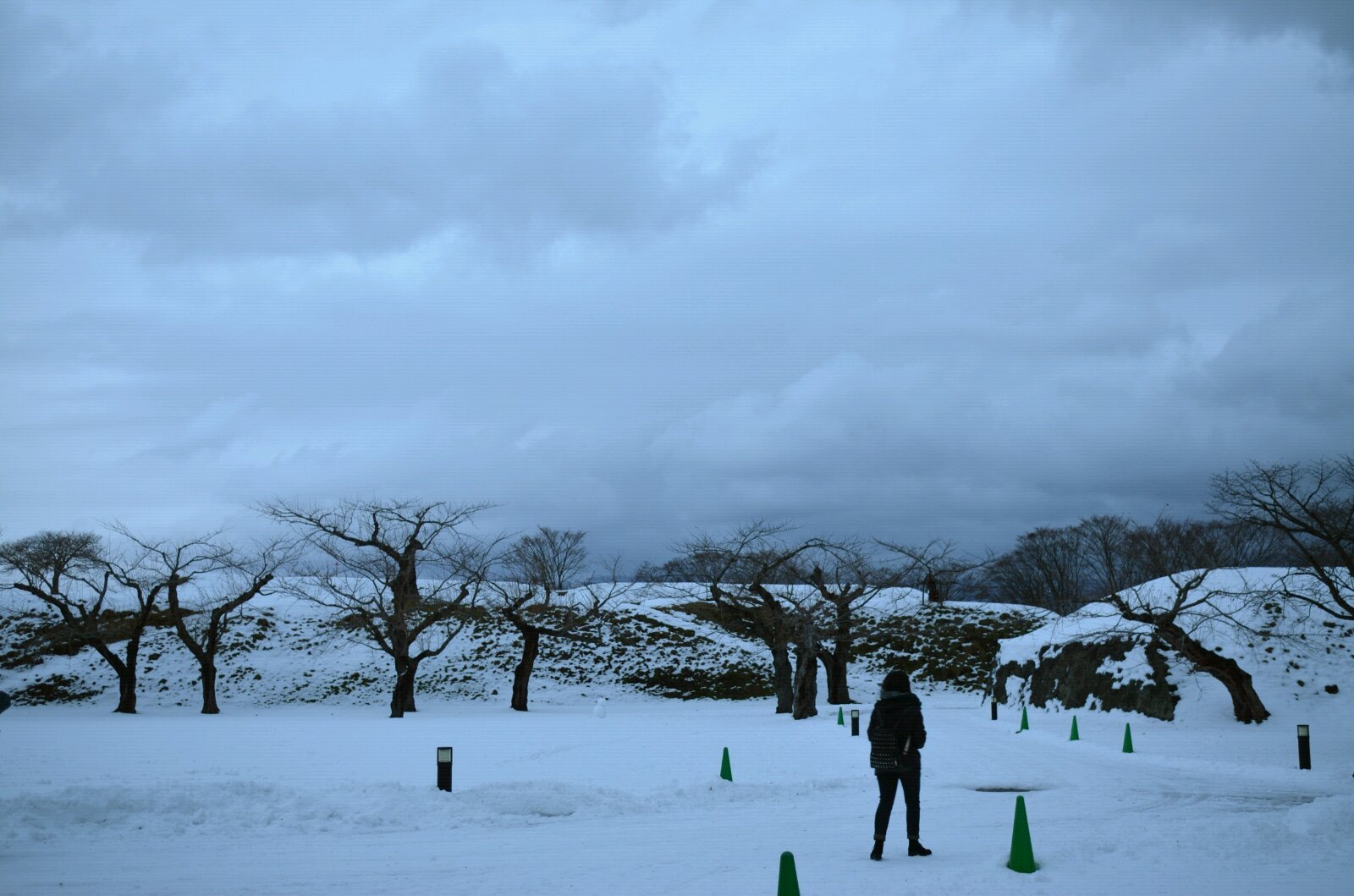 北海道の初雪 北海道雪景温泉11天自助游