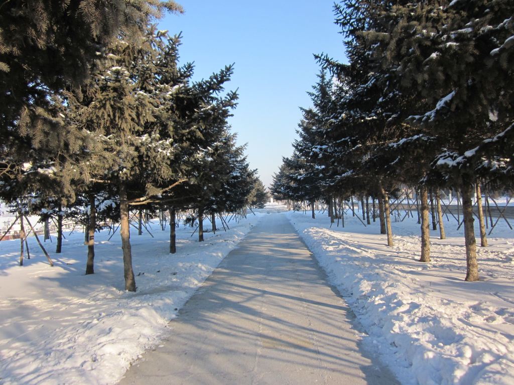 冬季到小兴安岭来看雪