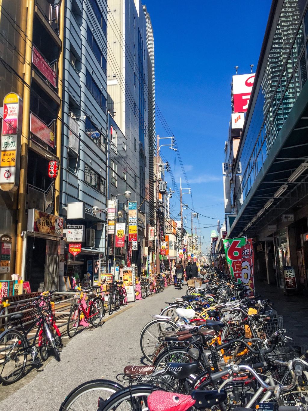 海上霸星量子号(日本广岛东京神户9天8晚自由行)