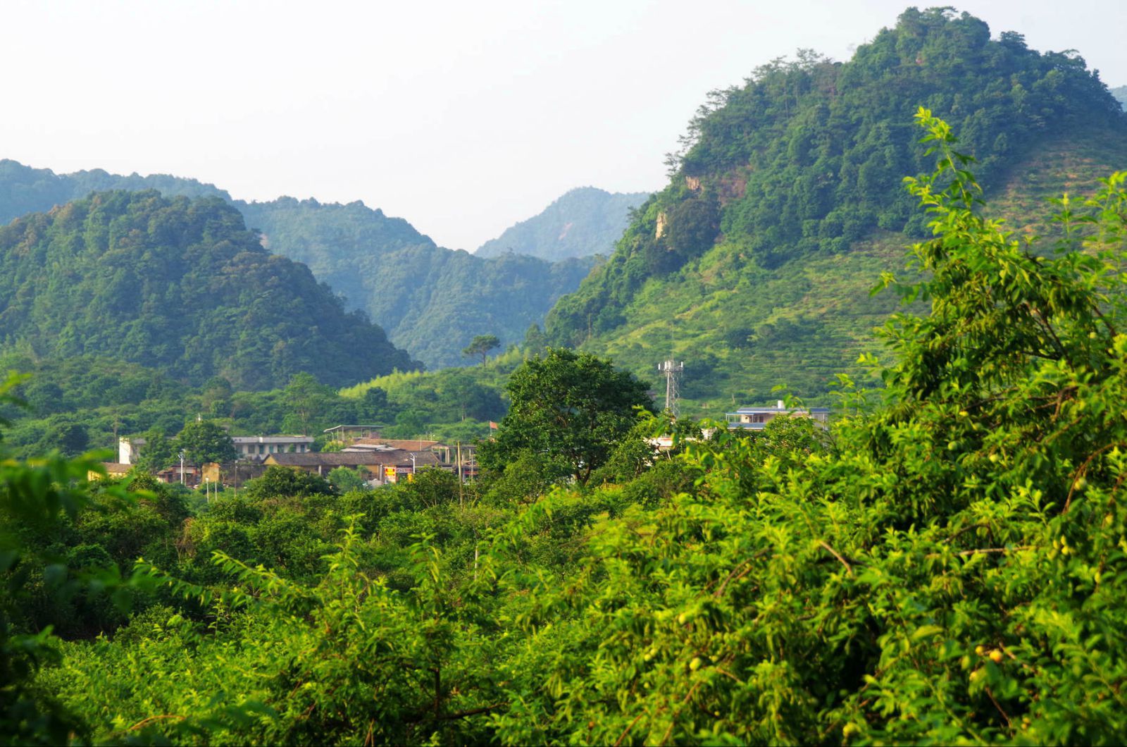 广州,从化,锦村