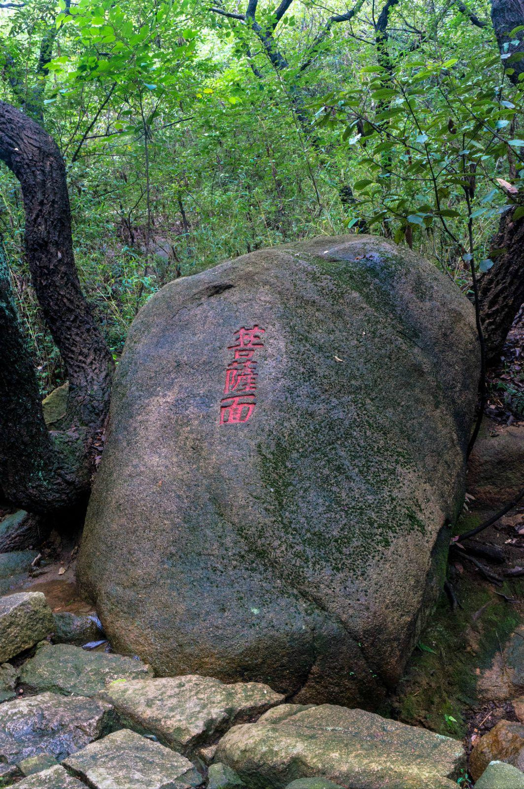 再游苏州天池花山 - 苏州游记攻略【携程攻略】