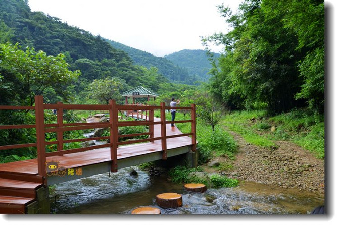 高明杨和皂幕山-栈道