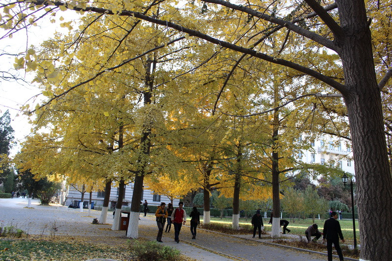 北京科技大学