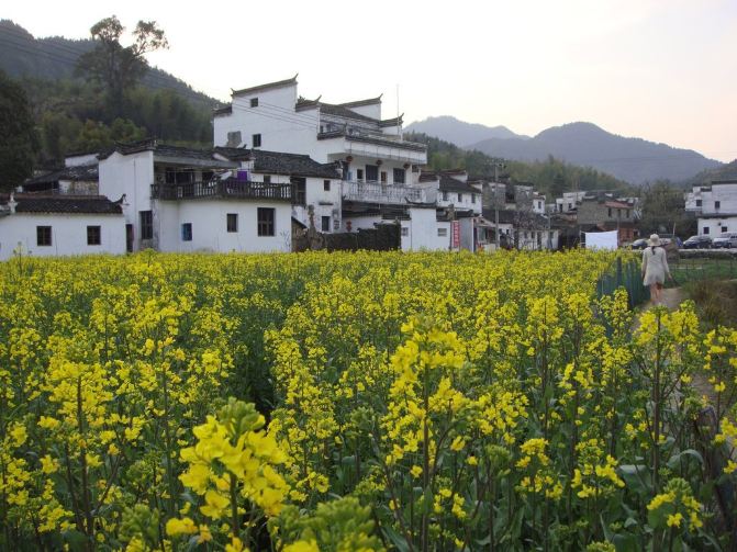 七天玩转婺源黄山与杭州 附详细路线指南与海