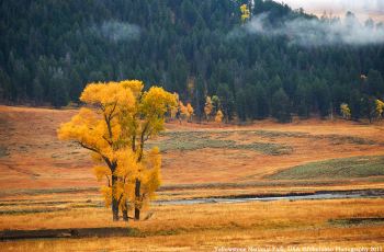 【携程攻略】拉马尔山谷门票,黄石国家公园拉