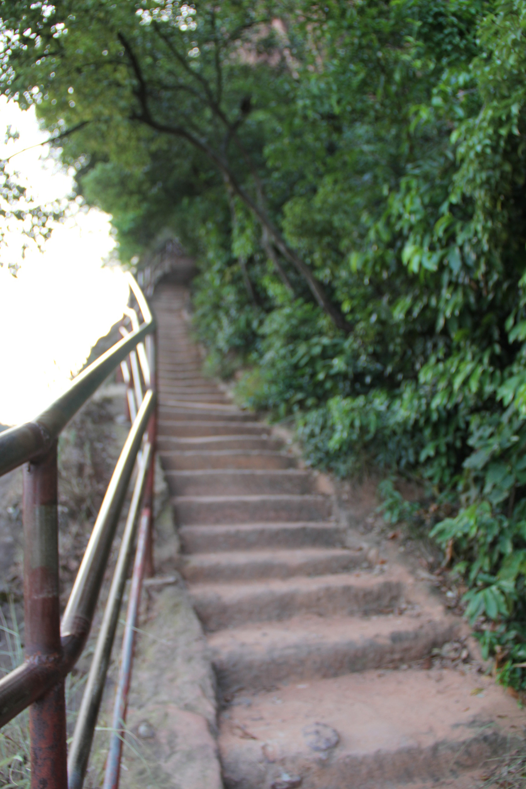 走不完的楼梯——丹霞山、乳源大峡谷 - 韶关游记攻略【携程攻略】