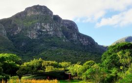 开普敦克斯腾伯斯国家植物园天气预报,历史气