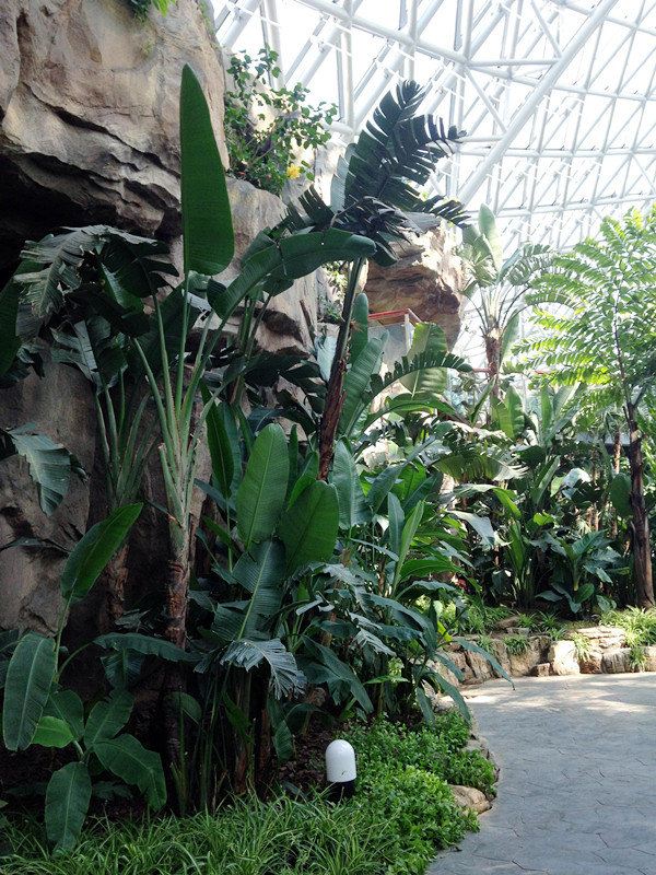 青岛世园会3日亲子火车自助游,栈桥、八大关、