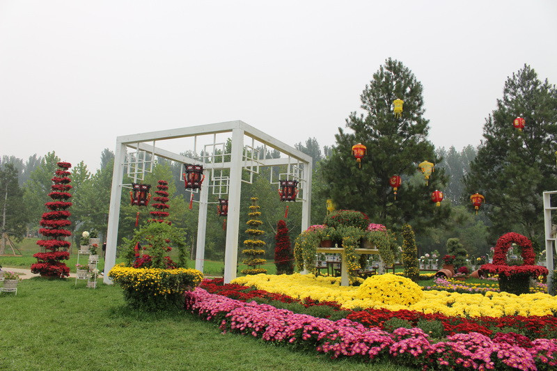 北京国际鲜花港---花坛