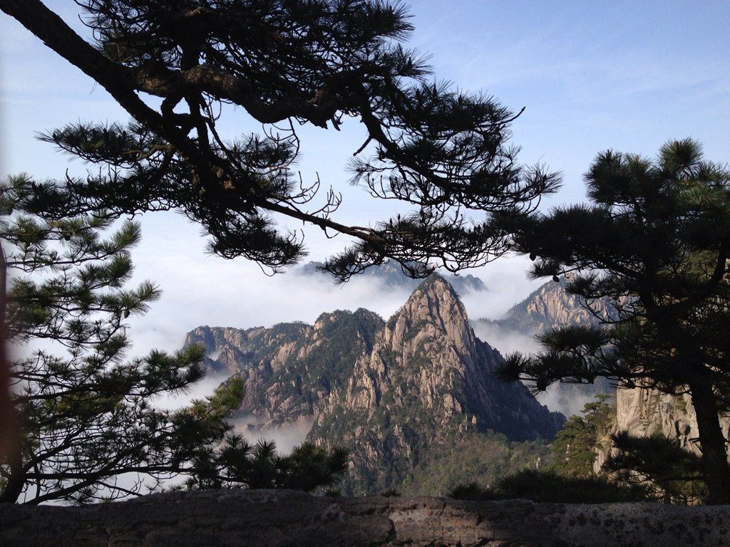 黄黄山四绝,云海的美当然少不了 奇松,怪石与之交相辉映.