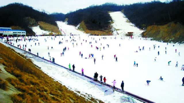 老界岭滑雪场门票,西峡老界岭滑雪场攻略/地址/图片