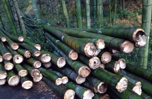 周末大觉寺、宜兴竹海游 - 宜兴游记攻略【携程