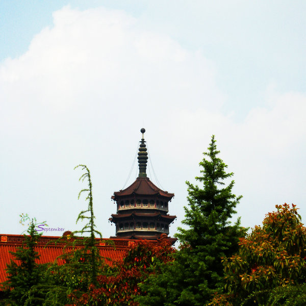 【美图】【江苏.扬州】高旻寺的自在天机 #古寺庙