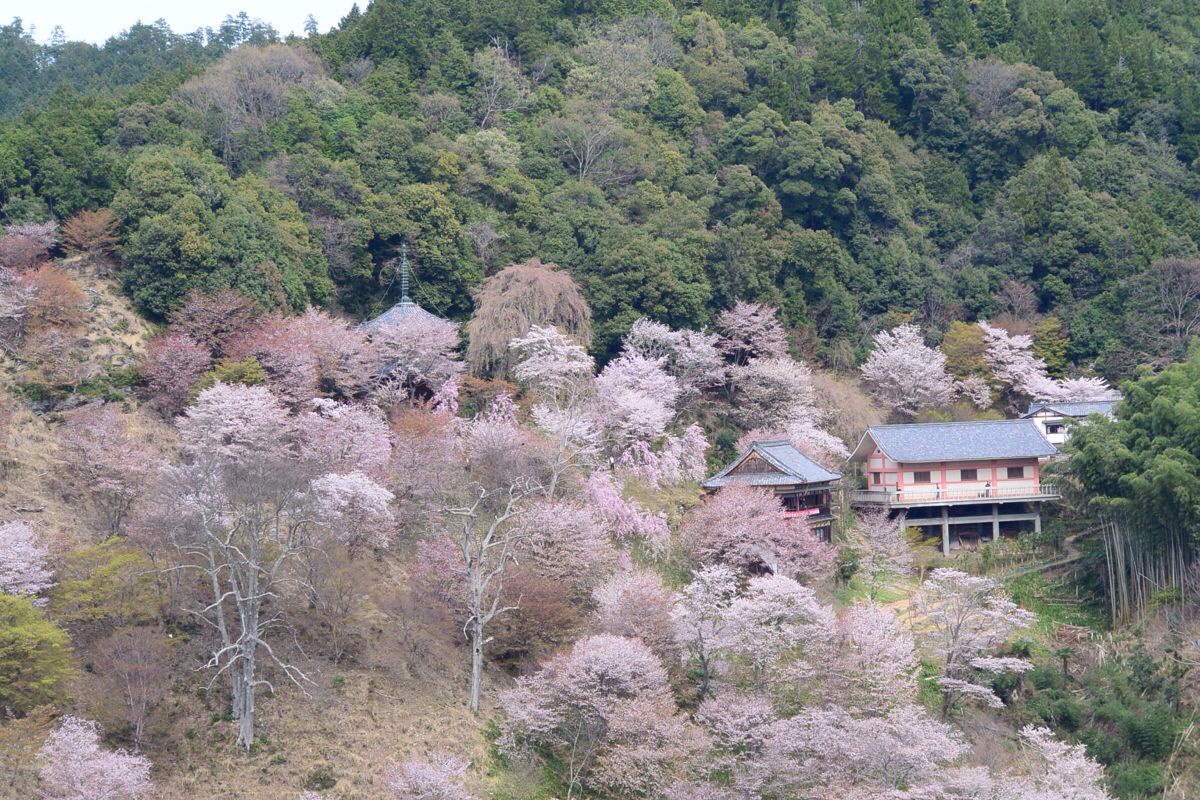 日本奈良吉野山