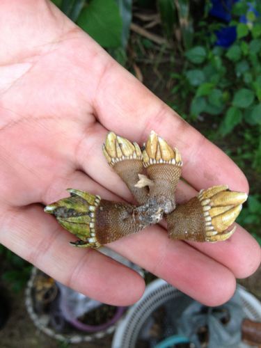 暑假带着孩子去南麂岛 - 南麂山列岛游记攻略