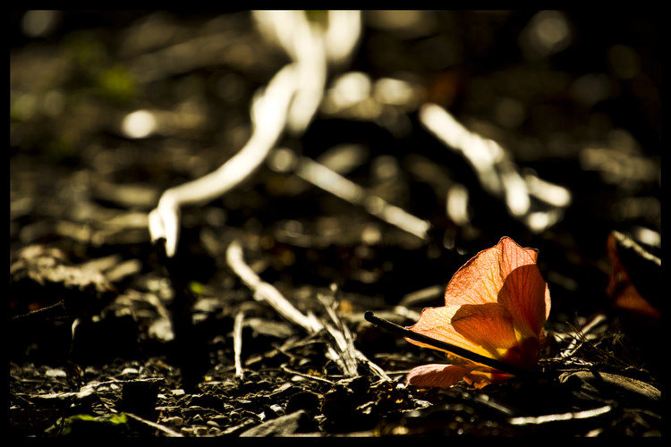 台湾10日深度自由行游记详细攻略 - 台北游记攻