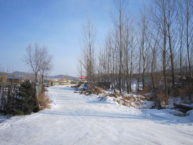 冬季上海出发哈尔滨、亚布力5日自由行详细图