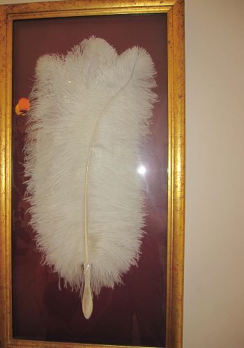 10天游遍非洲最南端-南非小资跟团游,太阳城、