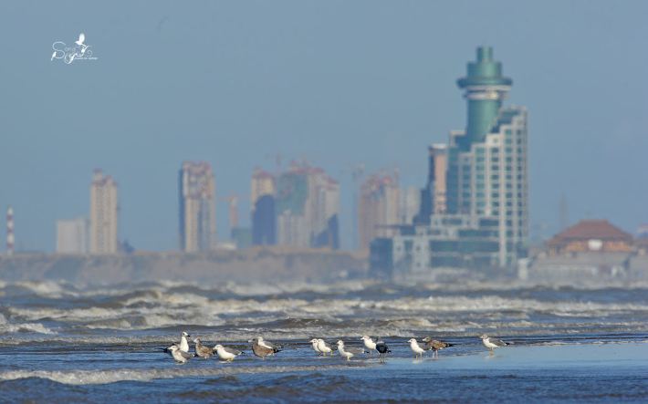 国庆烟台5日亲子自由行,烟台特色美食大全,美