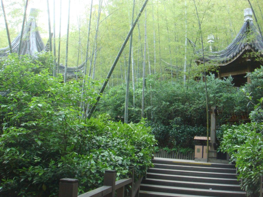 继续前行,经过一片片碧绿而茂盛的植物群,上面开着一簇一簇的白花,黄黄的花心,浓郁的香气一阵阵向我们扑来,看了介绍原来这些都是扬州市的市花琼花。我们在这里留下了玉照继续前行。前面便是小金山了,过了小金山的大门向右一拐是一条长长的栈道是一直延伸到湖区中央的,尽头是钓鱼台,钓鱼台是一个不大但很有玄机的建筑,玄机在哪里呢?在钓鱼台门前左前方四十五度角的位置你可以在它的两个圆门中同时欣赏到美丽的白搭和古老的五亭桥,太奇妙了啊!好多游客都在这里争相合影留念。五亭桥不但是瘦西湖的标志,也是扬州城的象征。它建